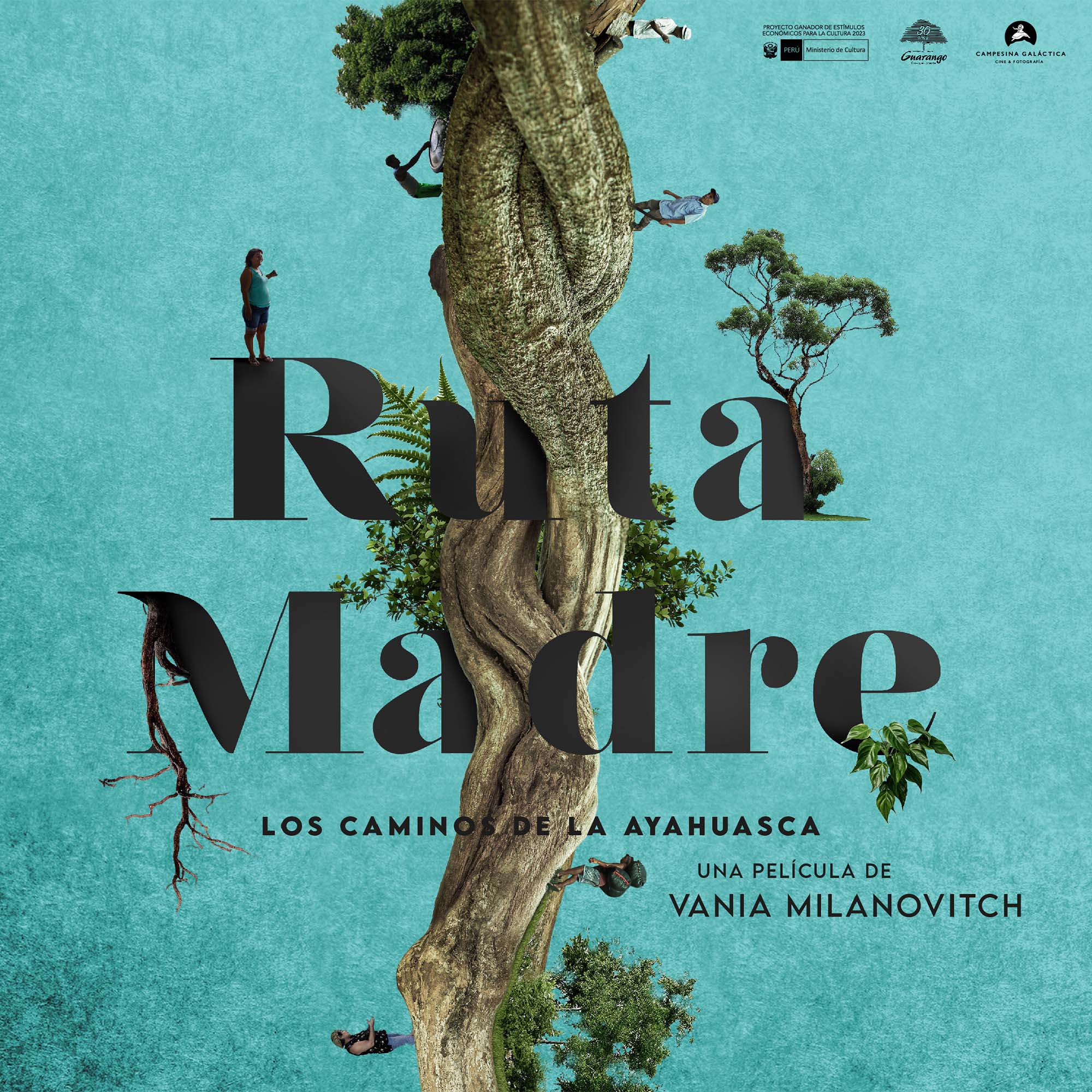 Ruta Madre