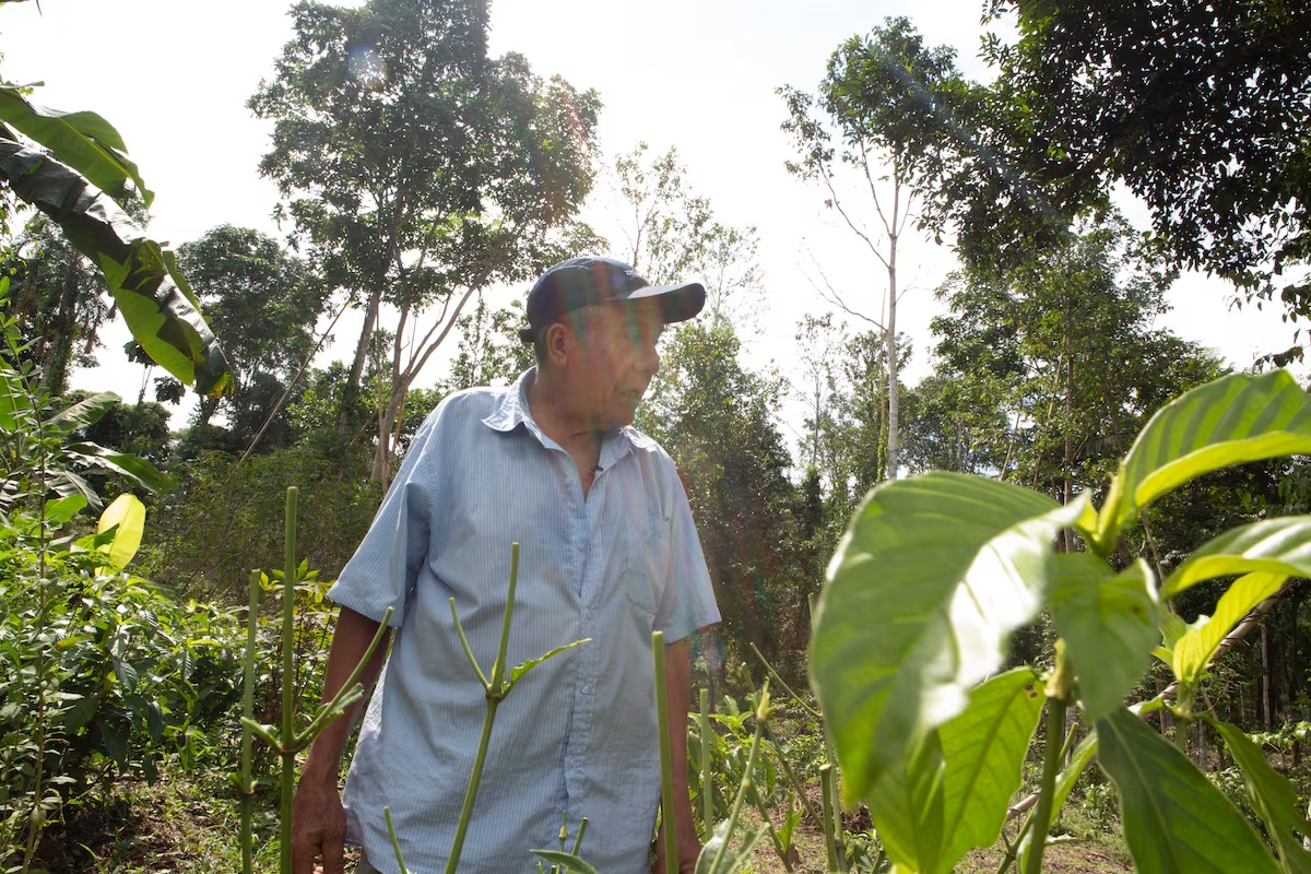 Imagen de Ruta madre