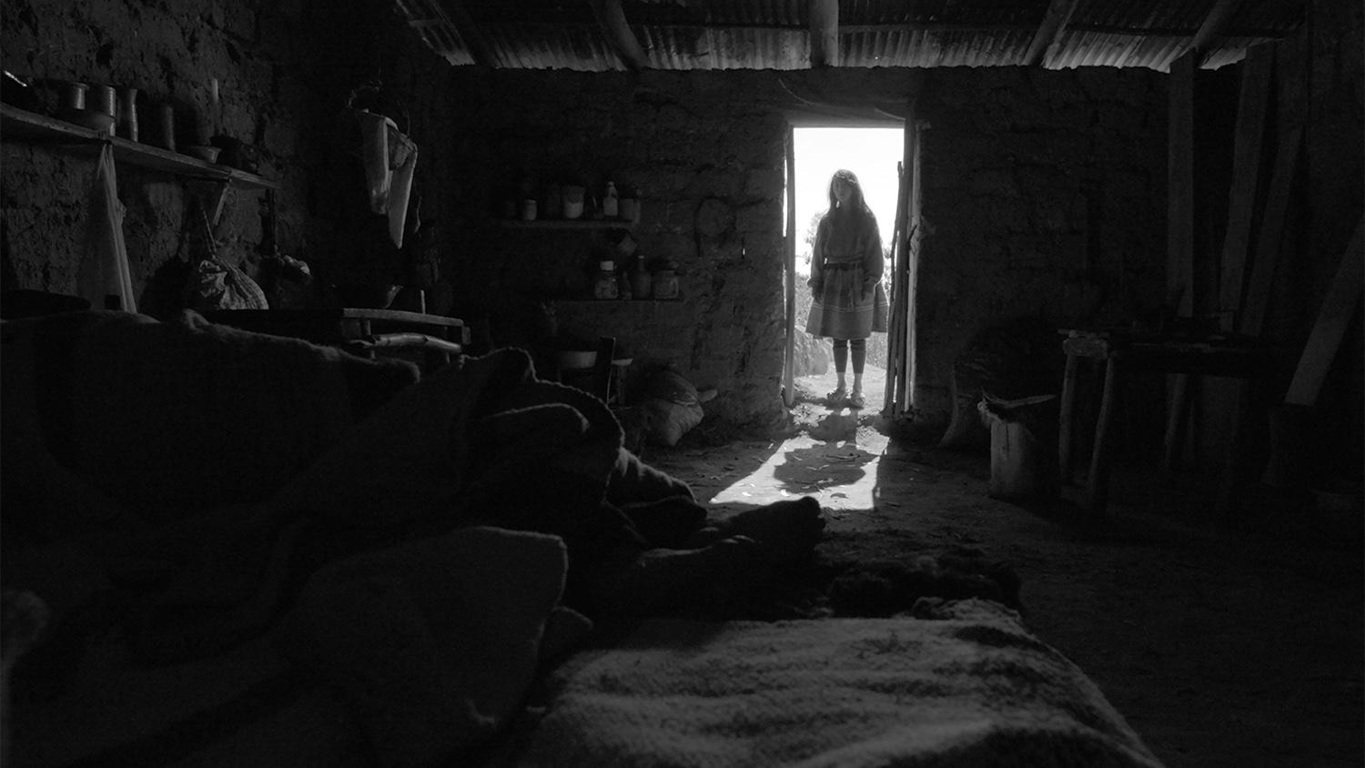 Diogenes-Leonardo-Barbuy