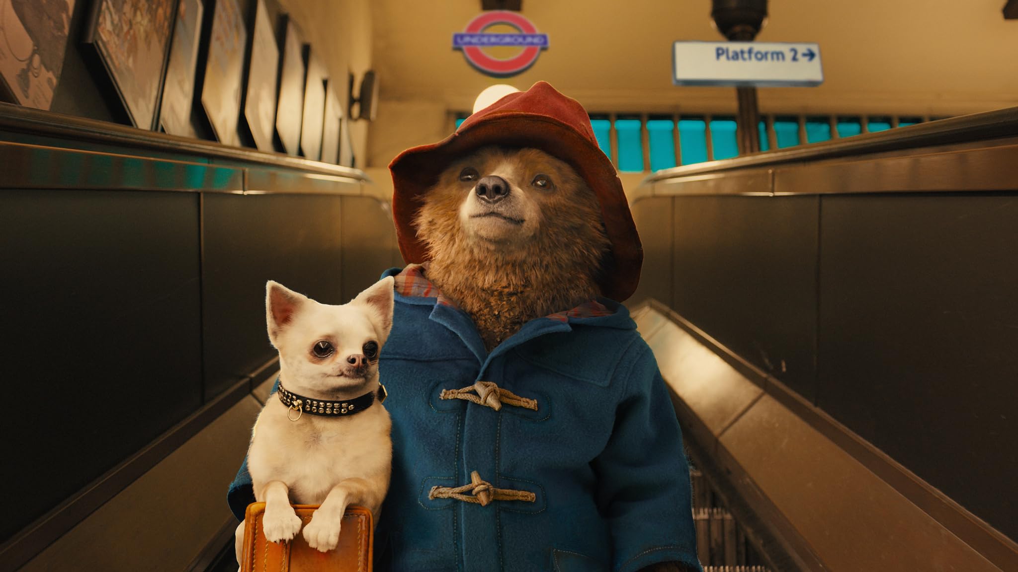 Fotograma de la película Paddington