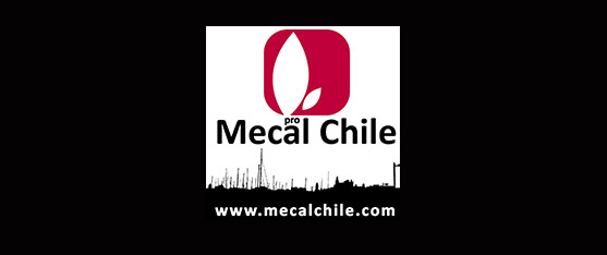 mecal chile_portada