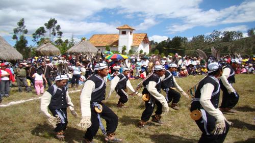 danzan las aves luya