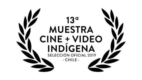 13 cine video indigena