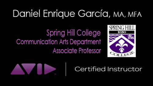 Daniel Professional Logo Final