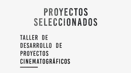 Proyectos seleccionados al Taller de desarrollo de proyectos cinematográficos