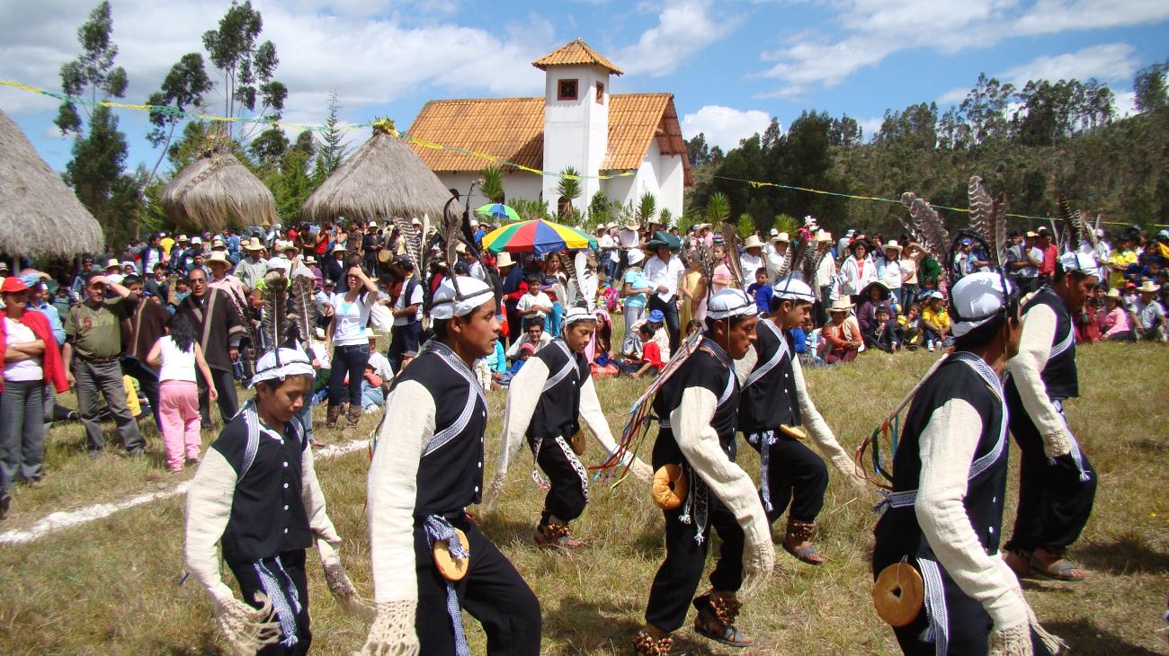 danzan las aves luya