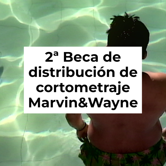 2da Beca de distribución de cortometraje Marvin&Wayne
