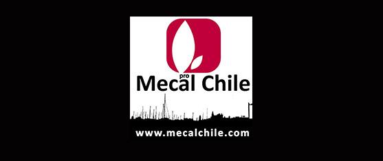 Convocatoria de cortometrajes para el Festival Mecal Chile 2013 hasta el 15 de agosto
