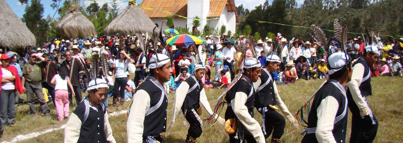 danzan las aves luya