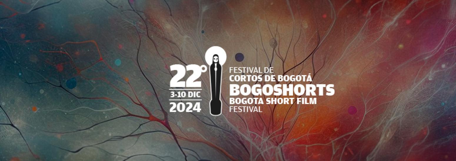 Bogoshorts2024