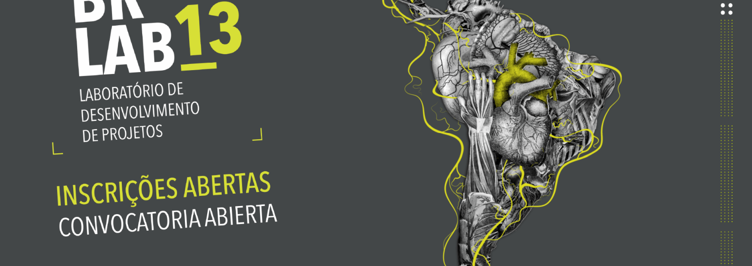 Convocatoria 13º BrLab 2023