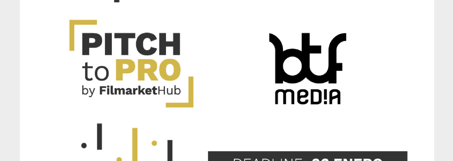 Filmarket Hub Pitch to pro