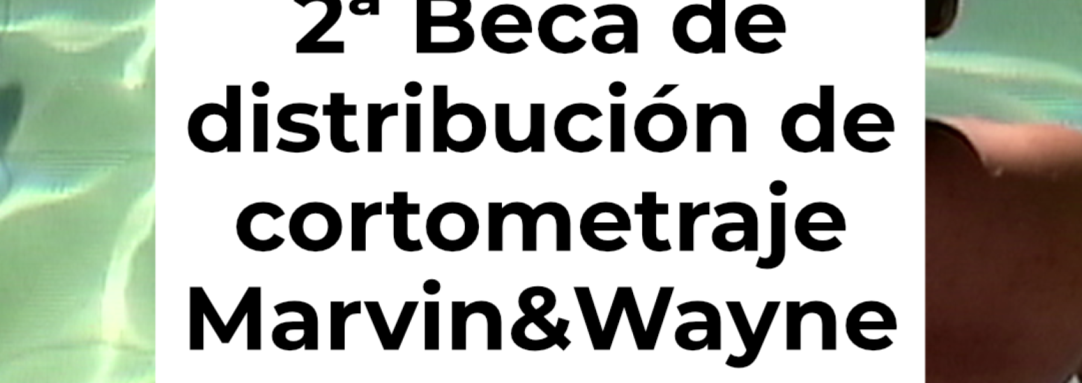 2da Beca de distribución Marvin & Wayne