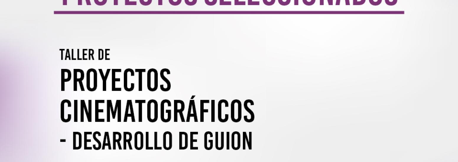 Proyectos Seleccionados-Taller Ayacucho 2018