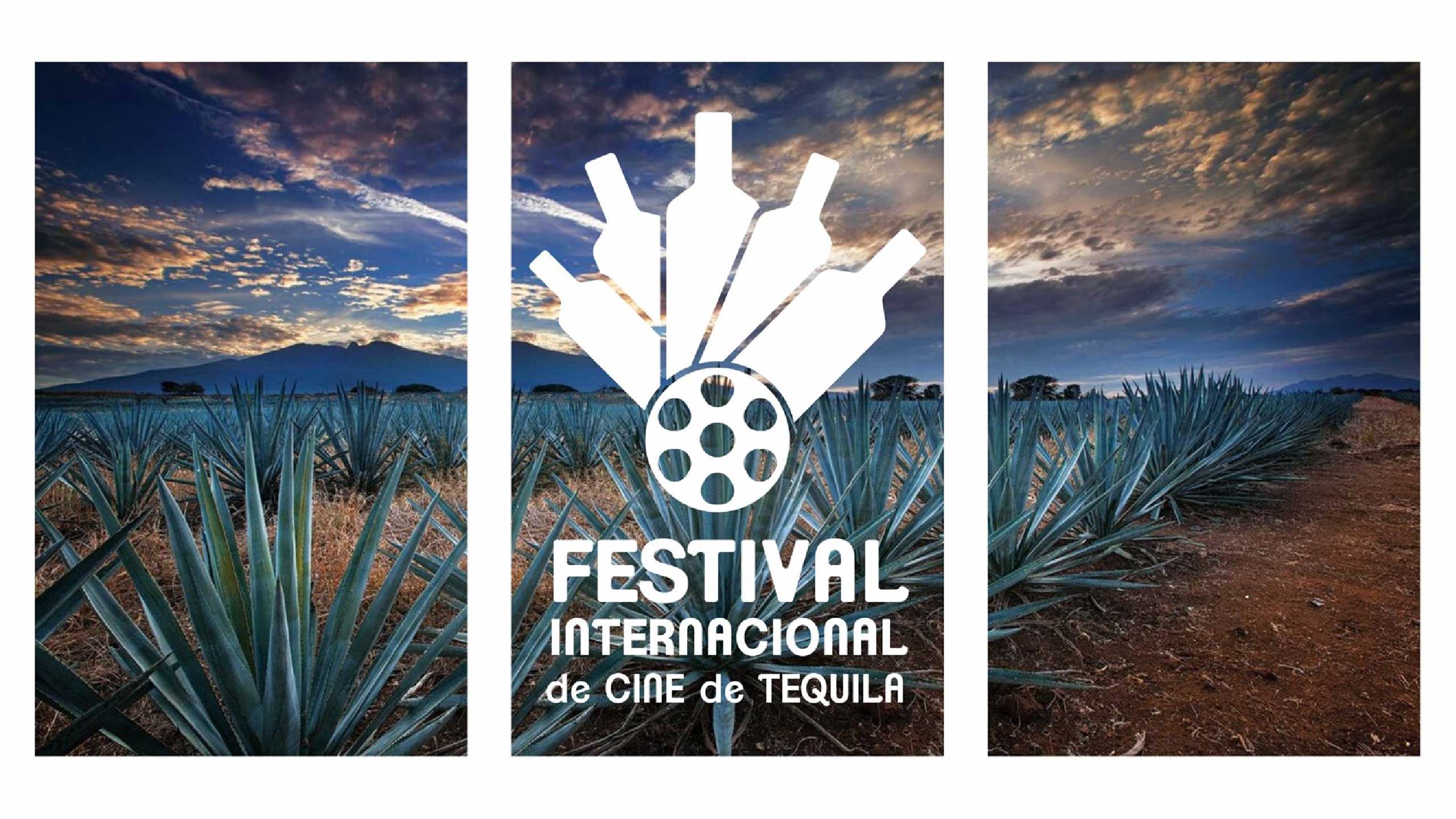 Cerrada] 5° Festival Internacional de Cine de Tequila – DAFO